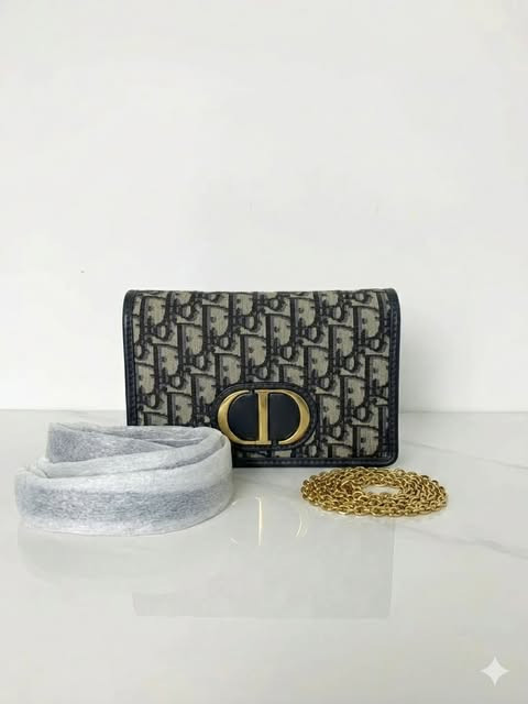 Dior Montaigne WOC Monogram Canvas